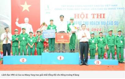 Nông trường K’Dang giành Giải nhất Hội thi Bàn tay vàng thu hoạch mủ Cao su Mang Yang