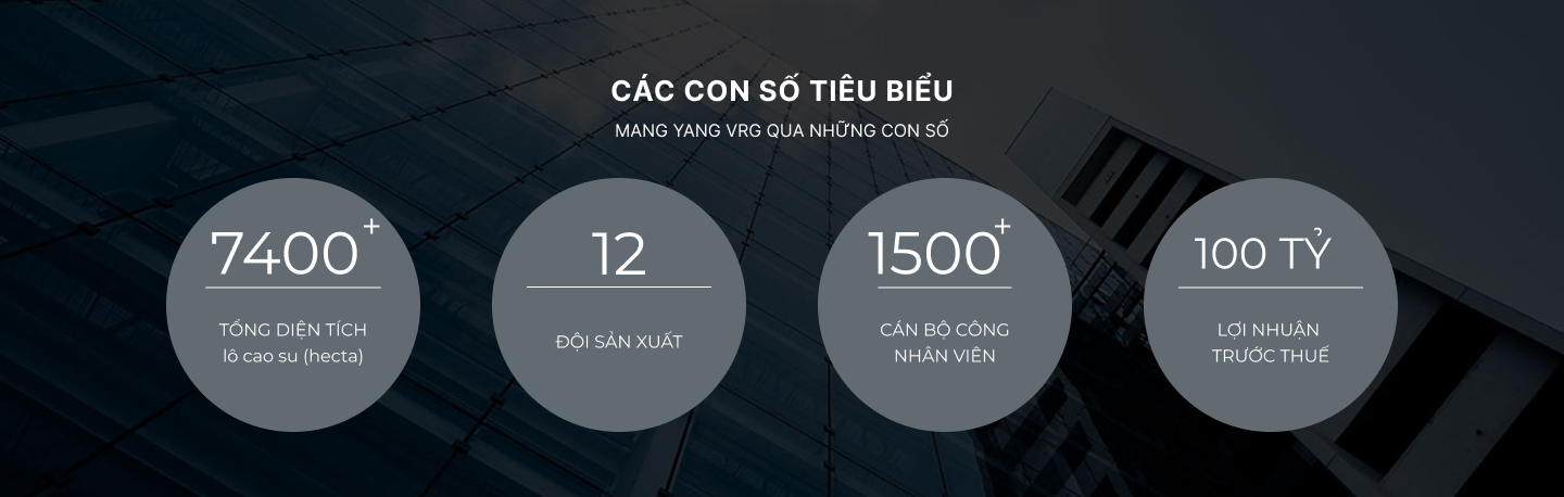 Các con số tiêu biểu