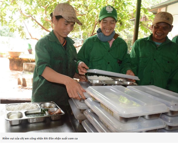 Ông Trương Văn Hội được bổ nhiệm chức vụ Tổng Giám đốc Công ty TNHH MTV Cao su Mang Yang