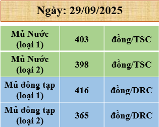 Bảng giá tháng 26/11/2024